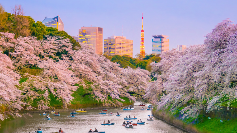 Tokyo, Japan