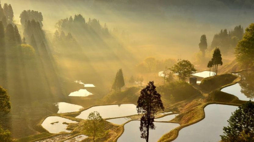 Niigata, Japan