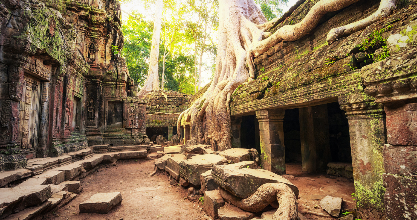 Ta Prohm, Cambodia