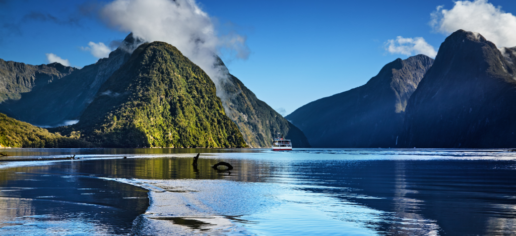NZ Millford Sound-resized-worpress-1920x877